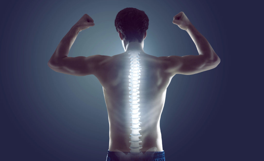 Quick Tips for Better Posture and Spine Health