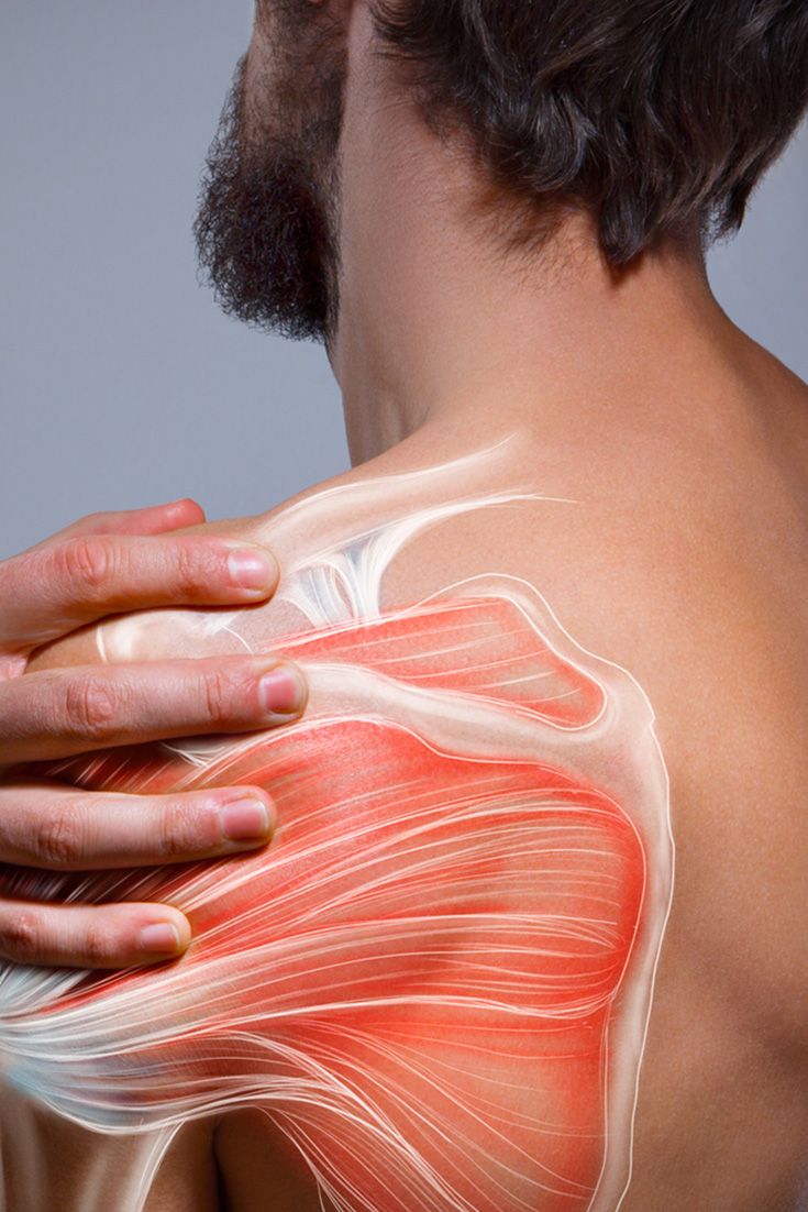 Shoulder and Back Expert
