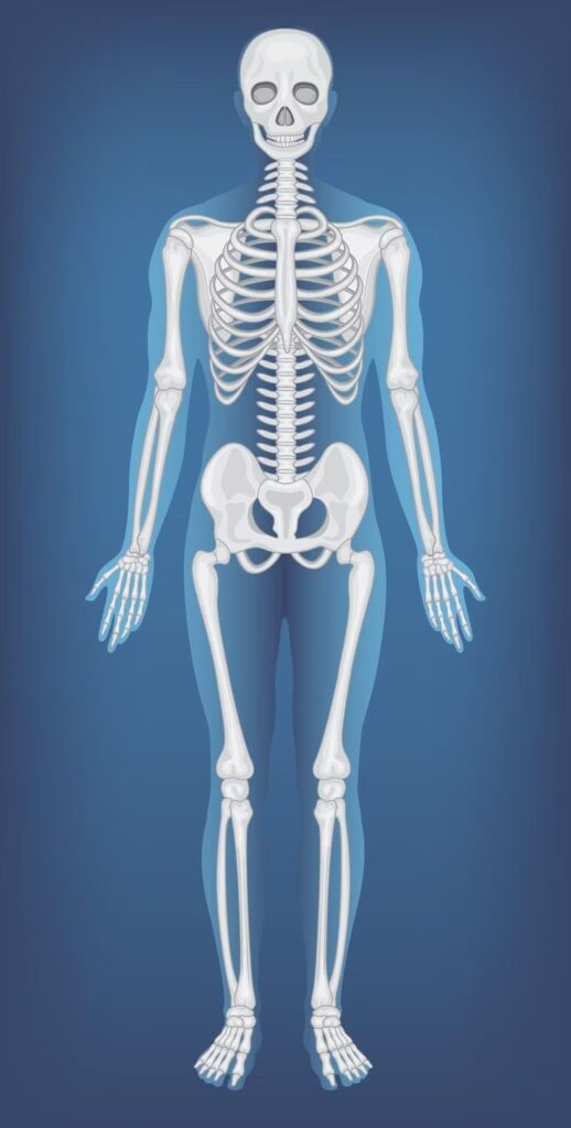 Orthopaedic Specialists in West Delhi