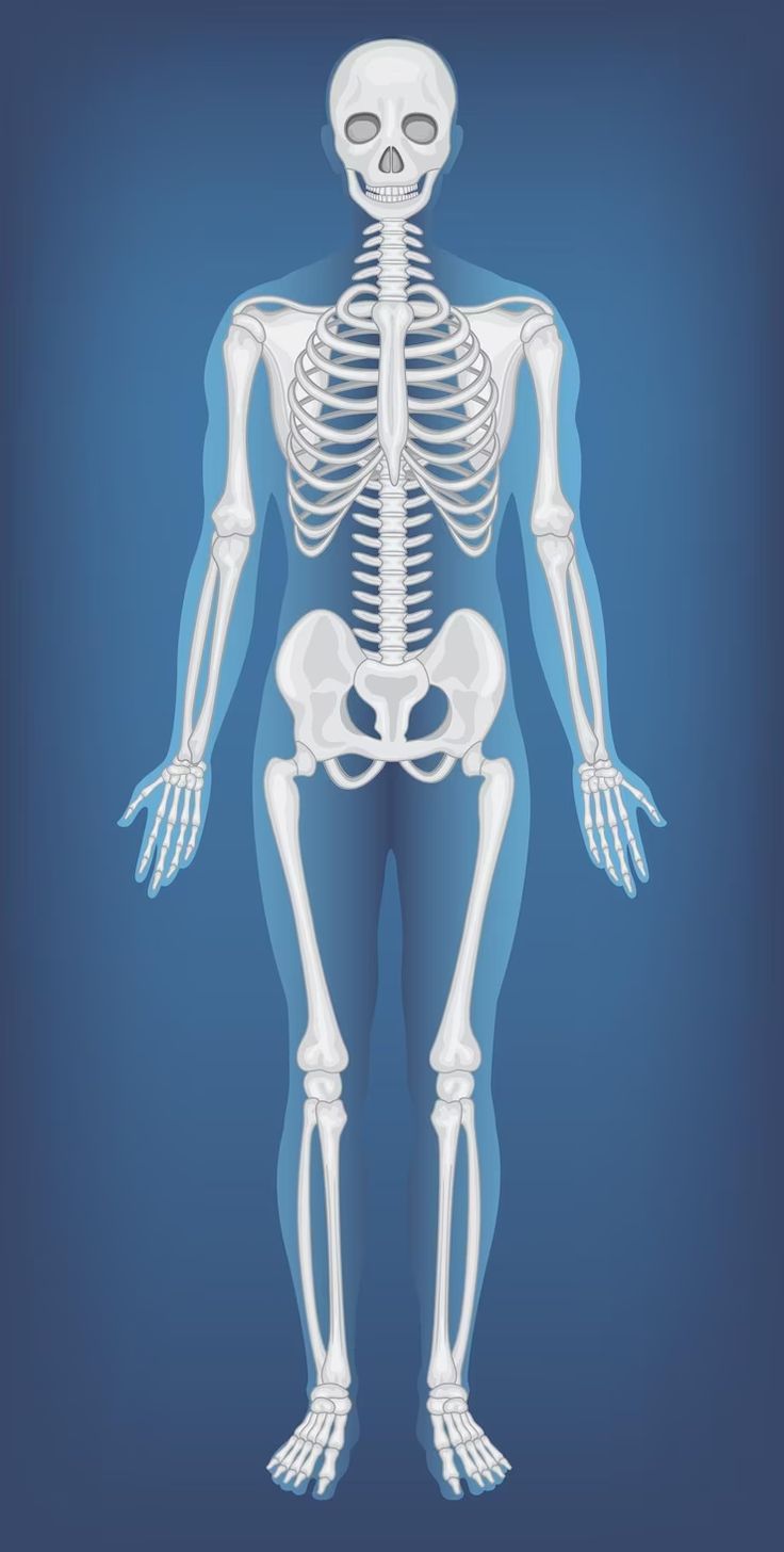 Orthopaedic Specialists in West Delhi