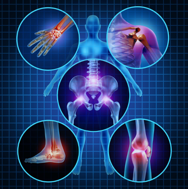 Bone and Joint Specialist Near Me